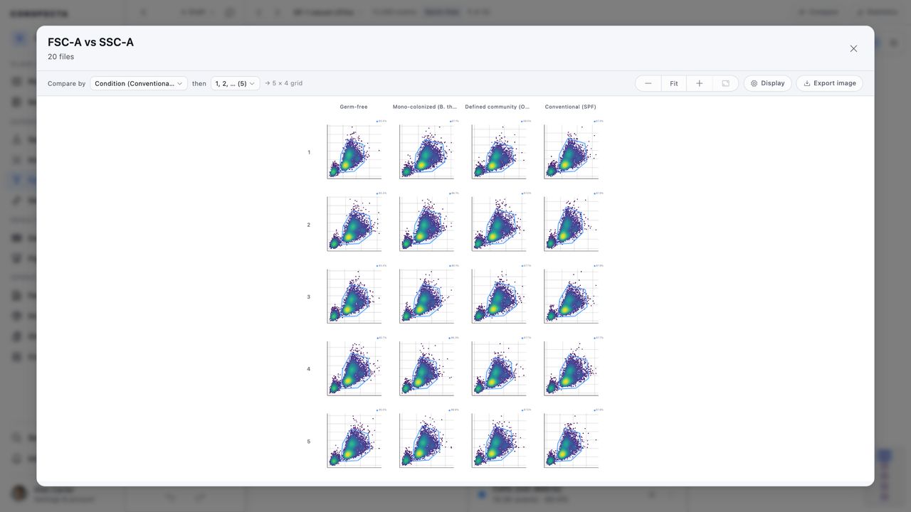 One scatter plot drawn for all twenty files at once, grouped into a grid with a column per condition and a row per mouse, the same gate on every panel