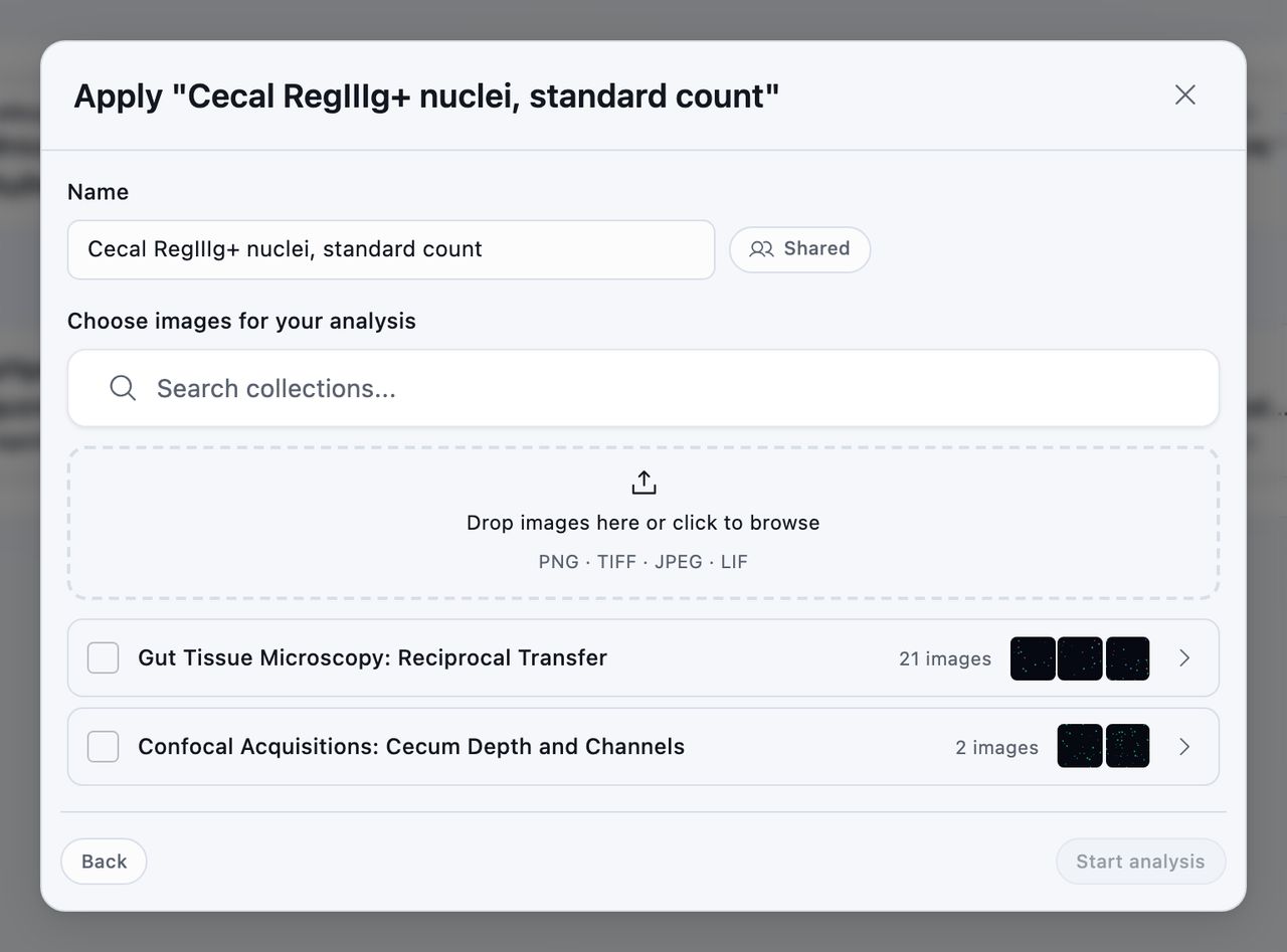 The Apply template dialog box, with a name for the result, whether it is shared, and the collections to run it over with their image counts