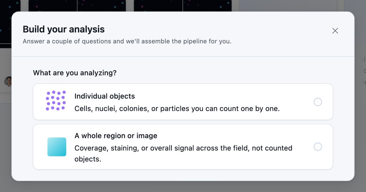 The builder's first question, What are you analyzing, offering Individual objects or A whole region or image