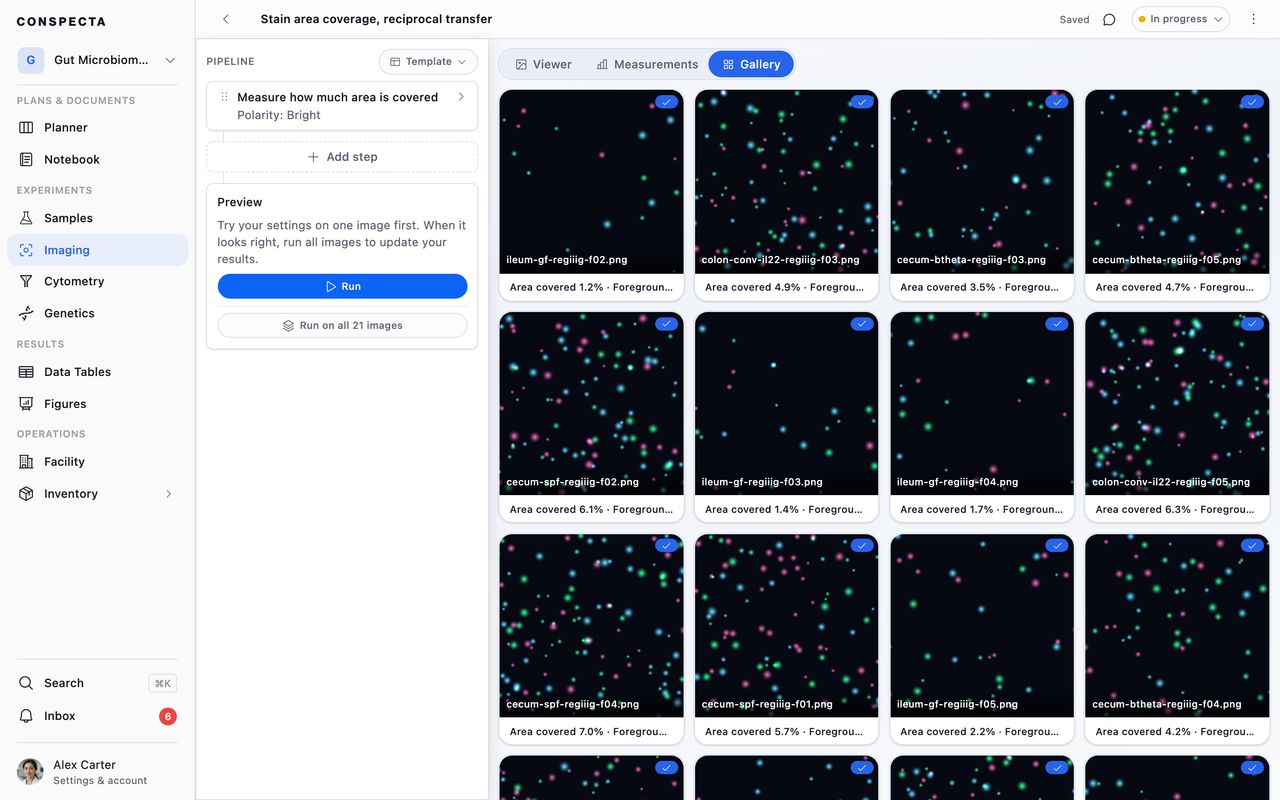 The Gallery tab, a grid of one card per image, each showing the field with the area it covered underneath