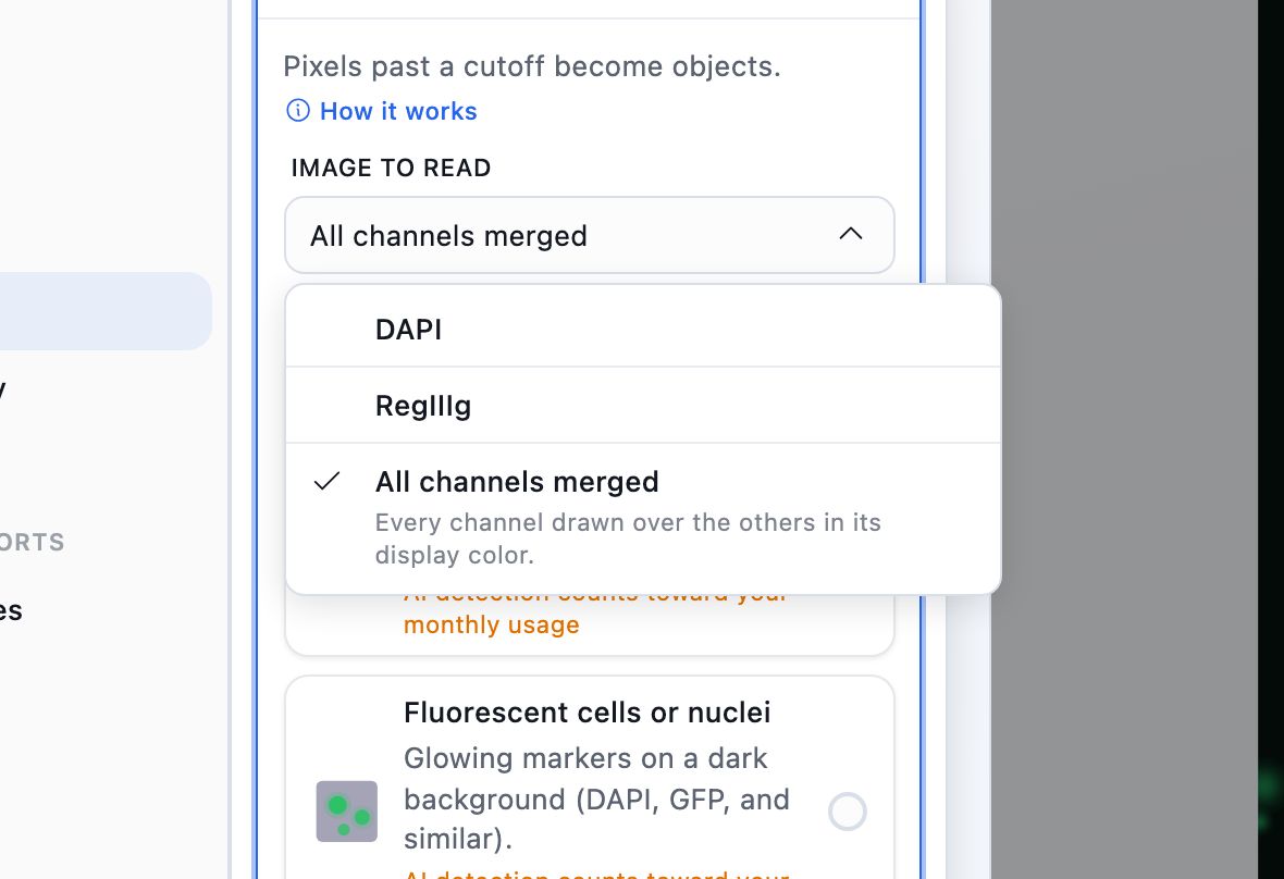 The Image to read picker open on a two-channel acquisition, listing DAPI, RegIIIg and All channels merged