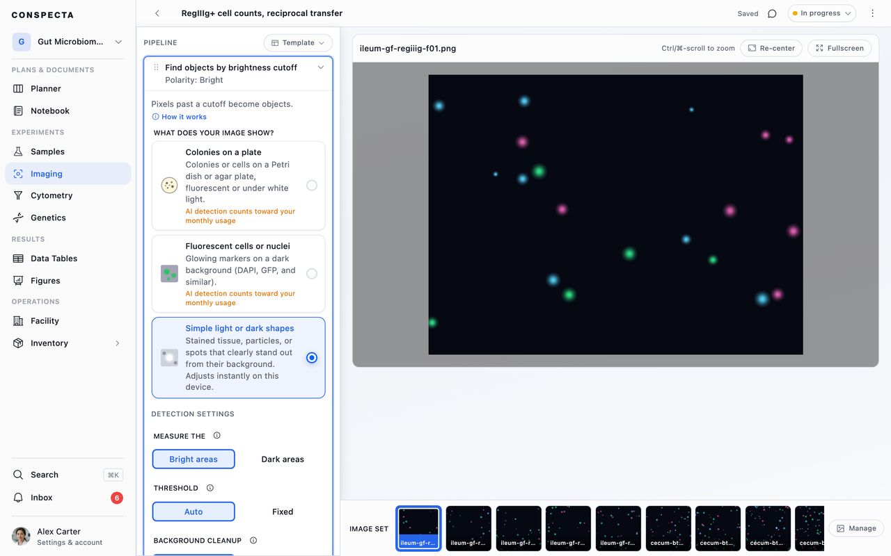 A detection step open in the sidebar, showing what the image shows, the detection settings, and the image it is running on