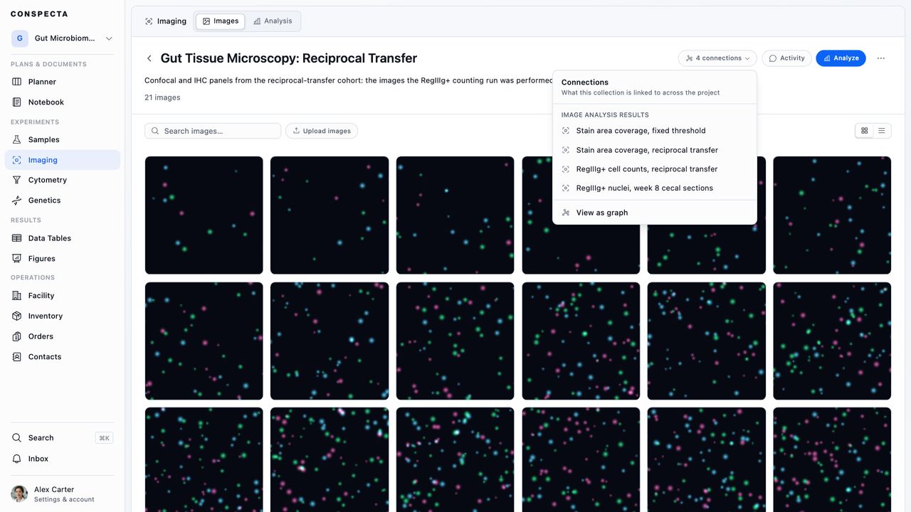 The Connections panel open over a collection, listing the image analysis results built from it