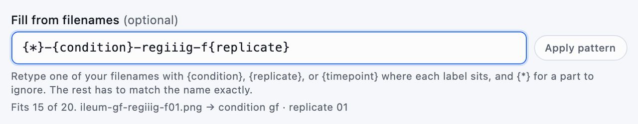 The Fill from filenames field holding a pattern, with a line under it reporting how many filenames fit and what the pattern read out of one of them
