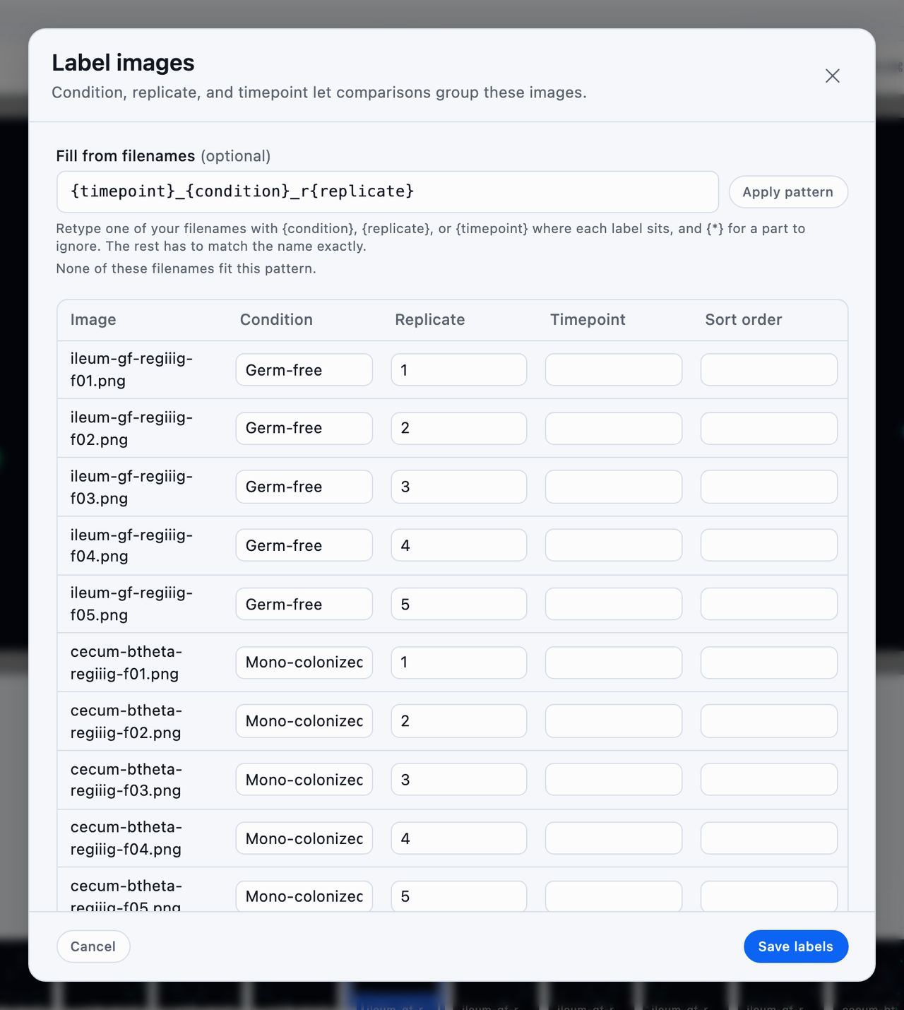 The Label images grid, one row per image with condition, replicate, timepoint and sort order, and a pattern field above it