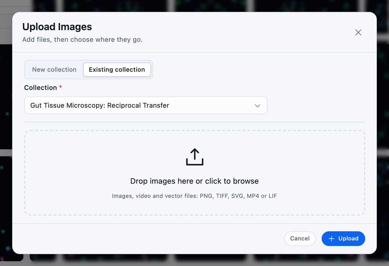 The Upload Images dialog box, with New collection and Existing collection as the two destinations and a dropzone below them