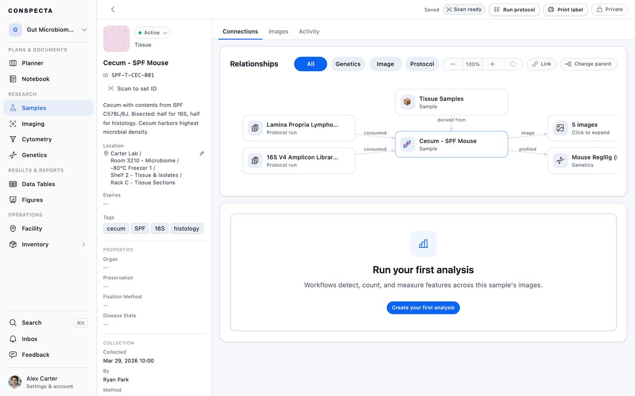 A tissue sample open on its Connections tab, with a relationship map linking it to the folder it derives from, two protocol runs that consumed it, its images, and a sequence