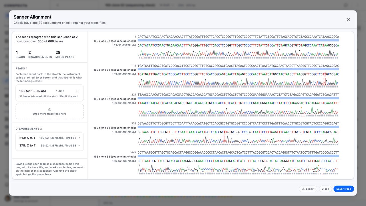 The Sanger Alignment dialog box checking a cloned 16S fragment against one ABI 3100 read, with the reference bases across the top of each block, a blue coverage bar beneath them, and the read's bases over its own four-color chromatogram, and the findings panel on the left reporting two disagreements at positions 213 and 378 with their Phred scores