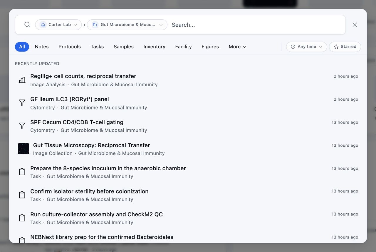 The search dialog box scoped to a team and project, with type tabs across the top, time and starred filters, and recently updated records listed below