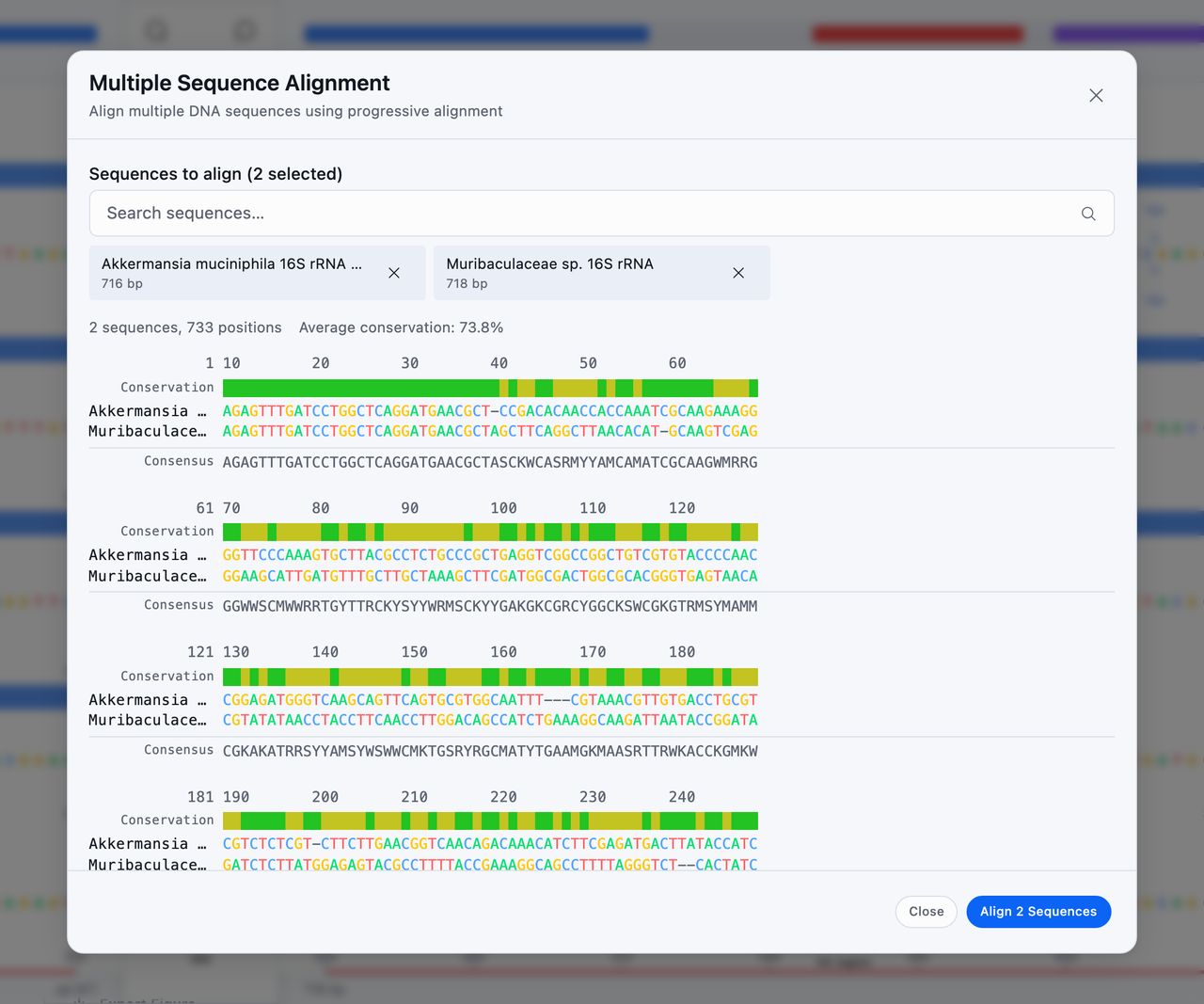 The Multiple Sequence Alignment dialog box with two 16S rRNA sequences aligned over 733 positions at 73.8% average conservation, drawn in blocks of sixty columns with a green and yellow conservation bar above the bases and a consensus row beneath them