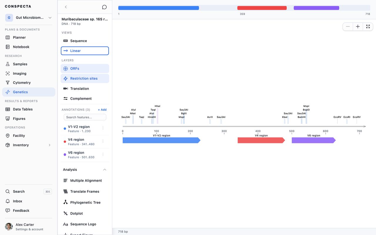 The same 16S rRNA sequence in Linear Map view, with enzyme cut sites above the ruler, the annotated variable regions drawn as arrows, and the ORFs and Restriction sites layers active in the sidebar