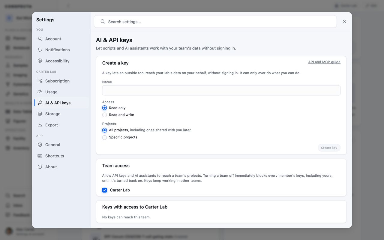 The AI & API keys section of Settings, with a form for creating a key with read only or read and write access, a Team access card, and the list of keys that can reach the team