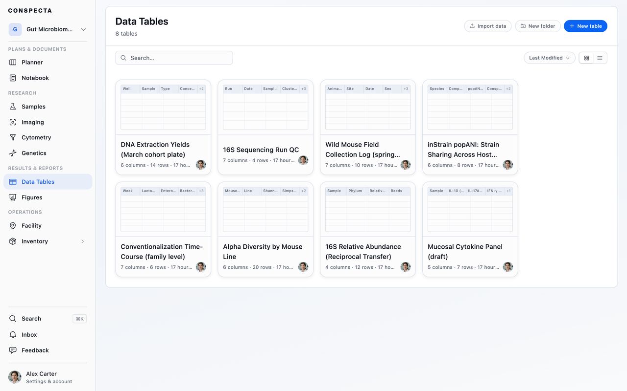 The Data Tables workspace with eight tables shown as cards, each previewing its column headers and marking its row count in the corner